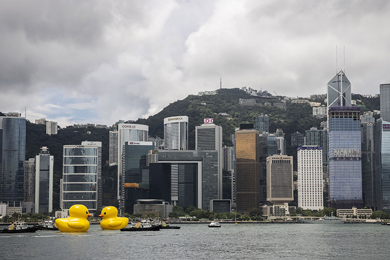 A decade on, giant duck brings a friend home to roost in Hong Kong ...