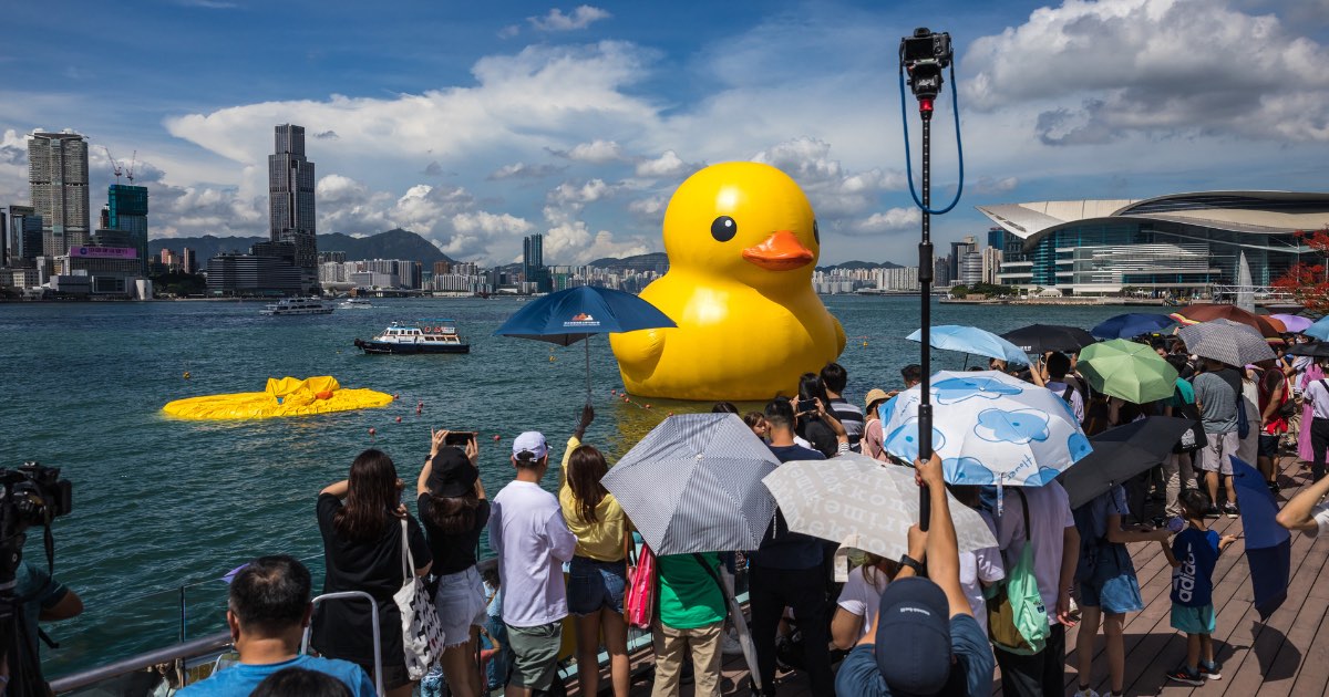 Giant rubber duck no match for Hong Kong's baking heat • PhilSTAR Life