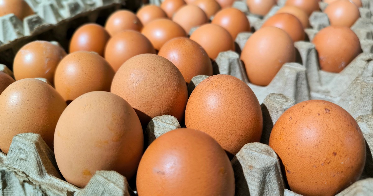Shell shocked: Producers to give 53 million eggs to food banks in US ...