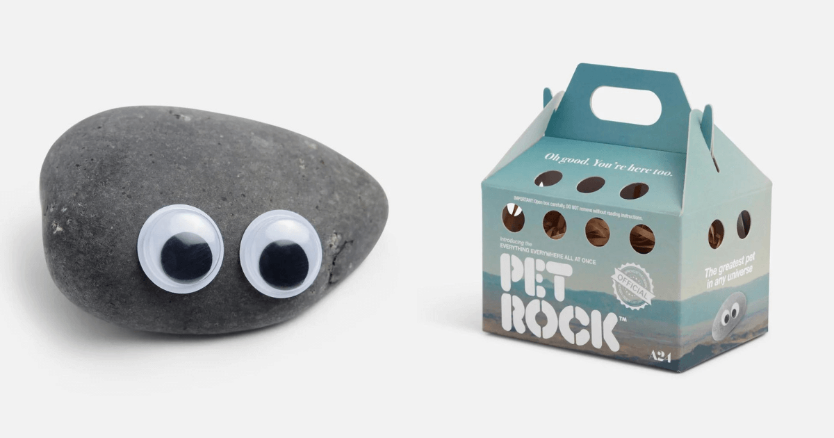 Studio behind 'Everything Everywhere All at Once' sells out movie's pet ...