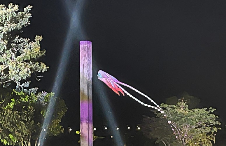 See the first-ever LED kite display at the Northern Floats Festival.