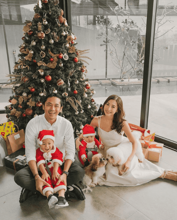 celebrities dressed for christmas Celebrity Holiday Decorations of 2020: From Modern to Traditional