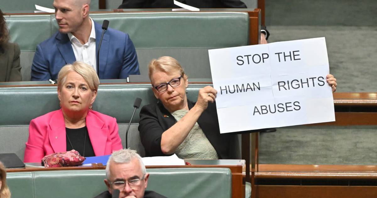 Janet Rice Protest 'Human rights matter': Why Australian senator Janet Rice held a protest ...
