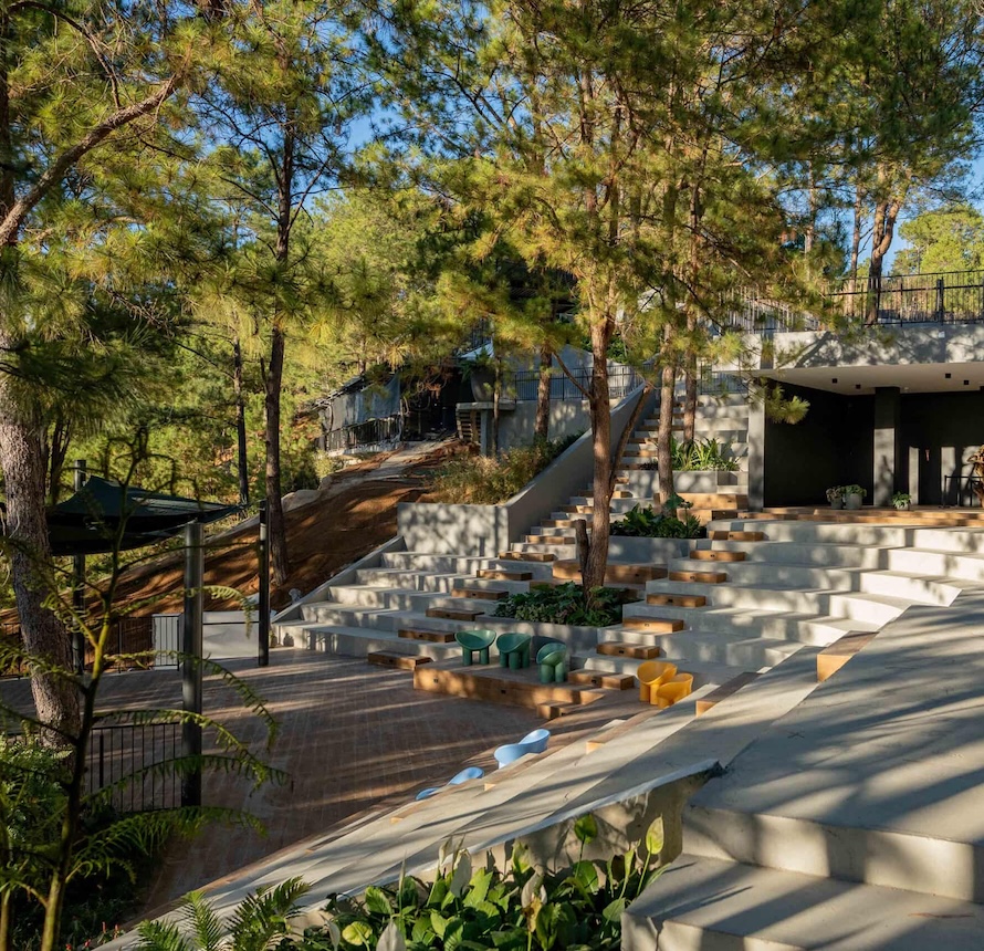 Mt. Camisong Forest Park & Events