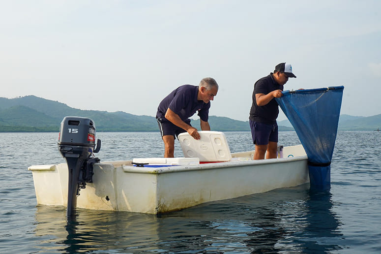 Fish Restocking Regenerating the ocean by listening to the sea and the locals who call ...