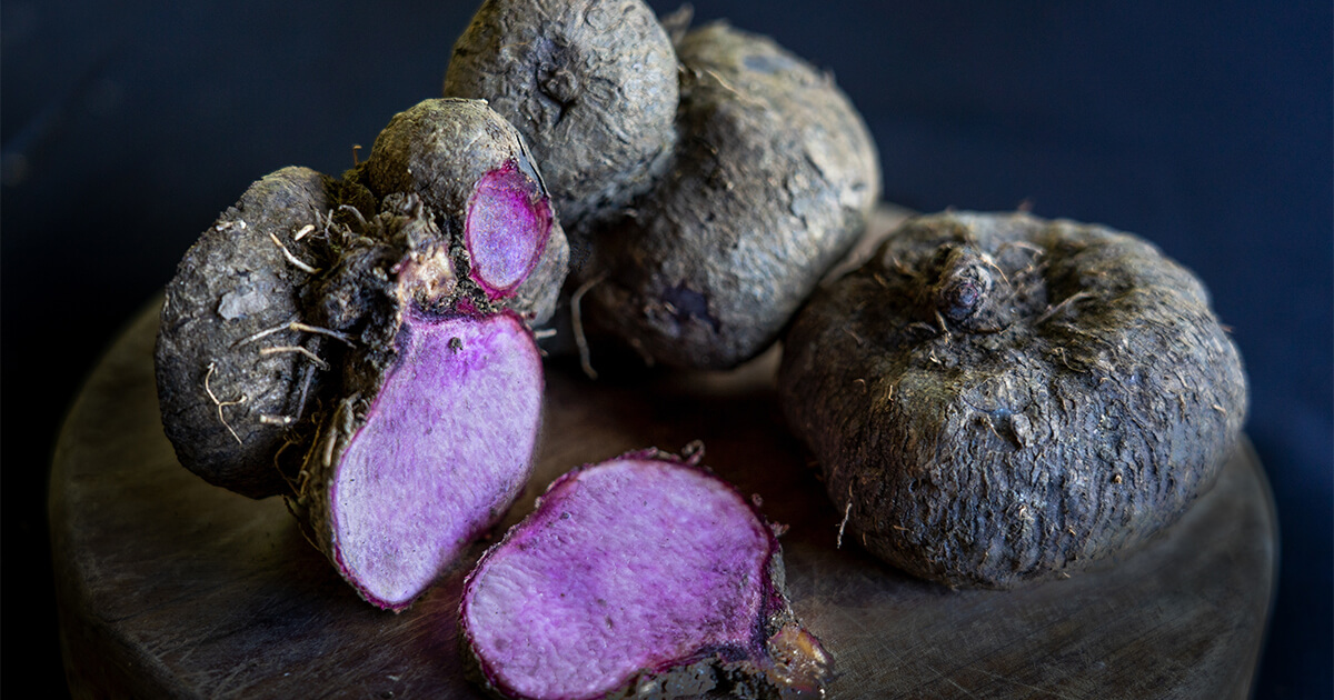 Ooh, ube bey-beh! The purple food craze