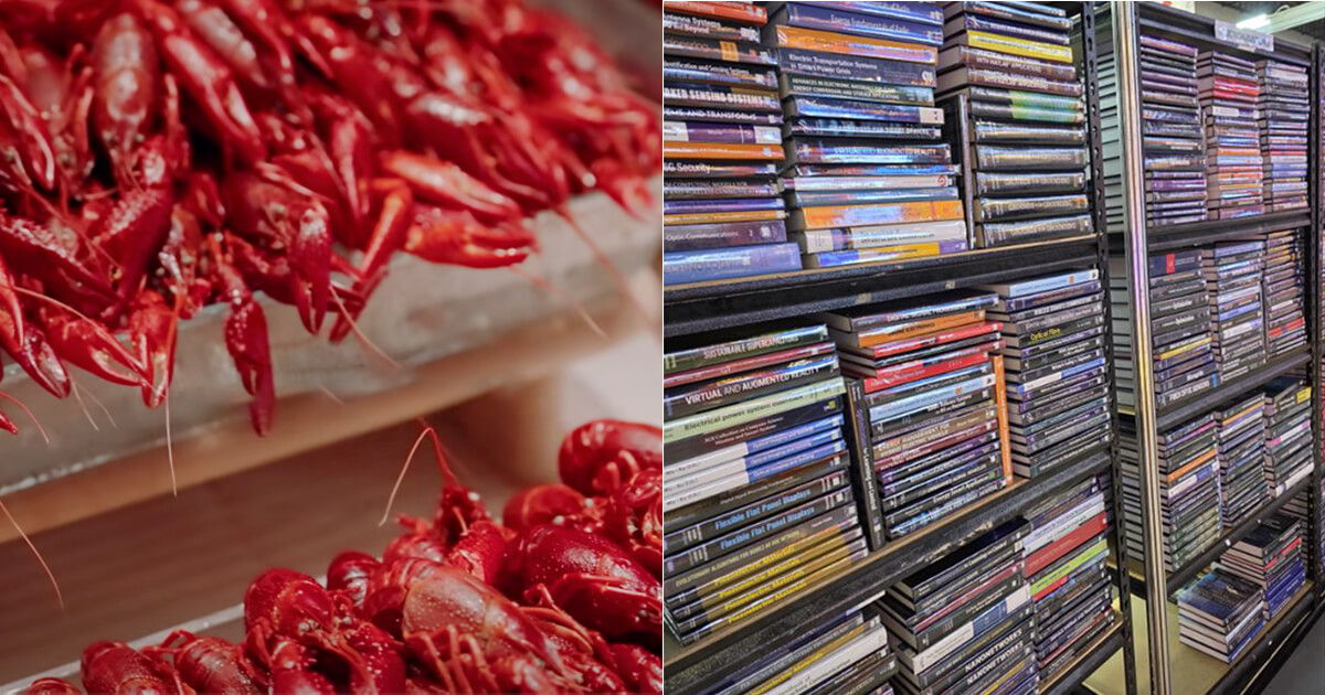 All you can read, all you can eat
