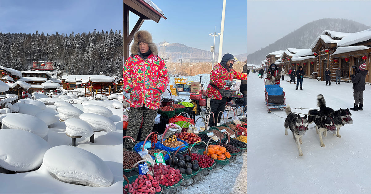 The brutal beauty of Harbin&mdash;in layers