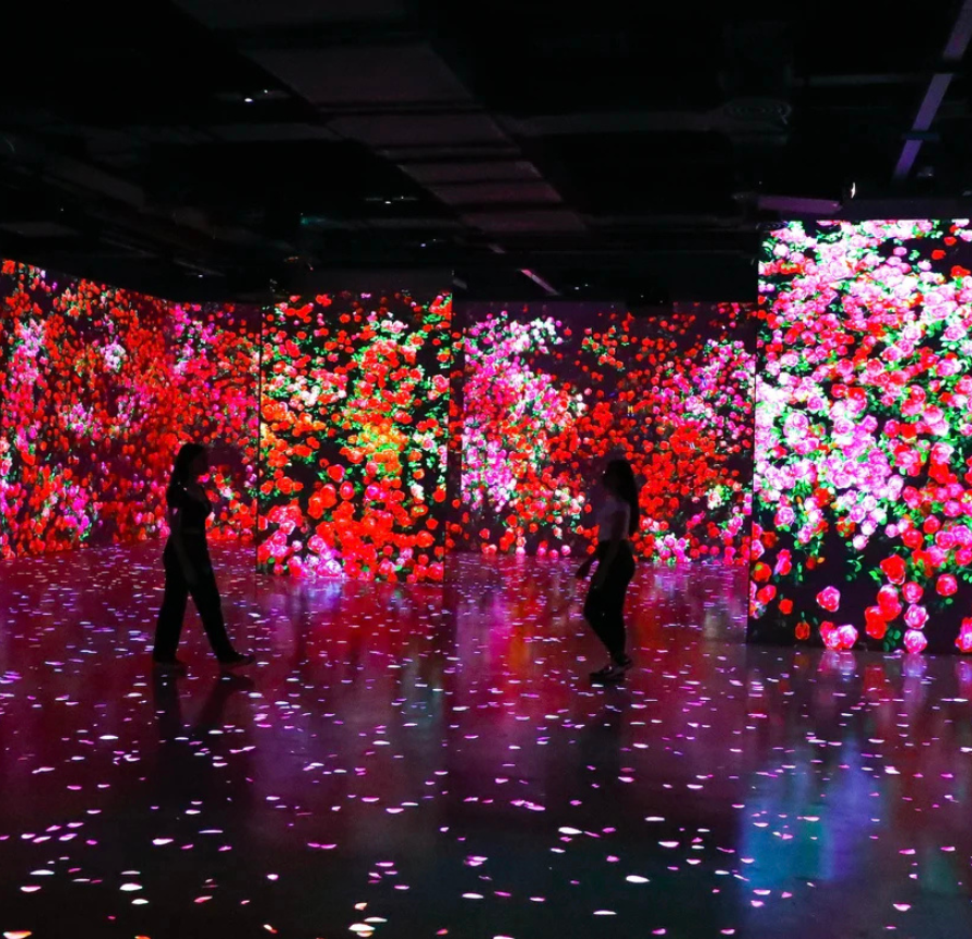 Digital National Art Museum