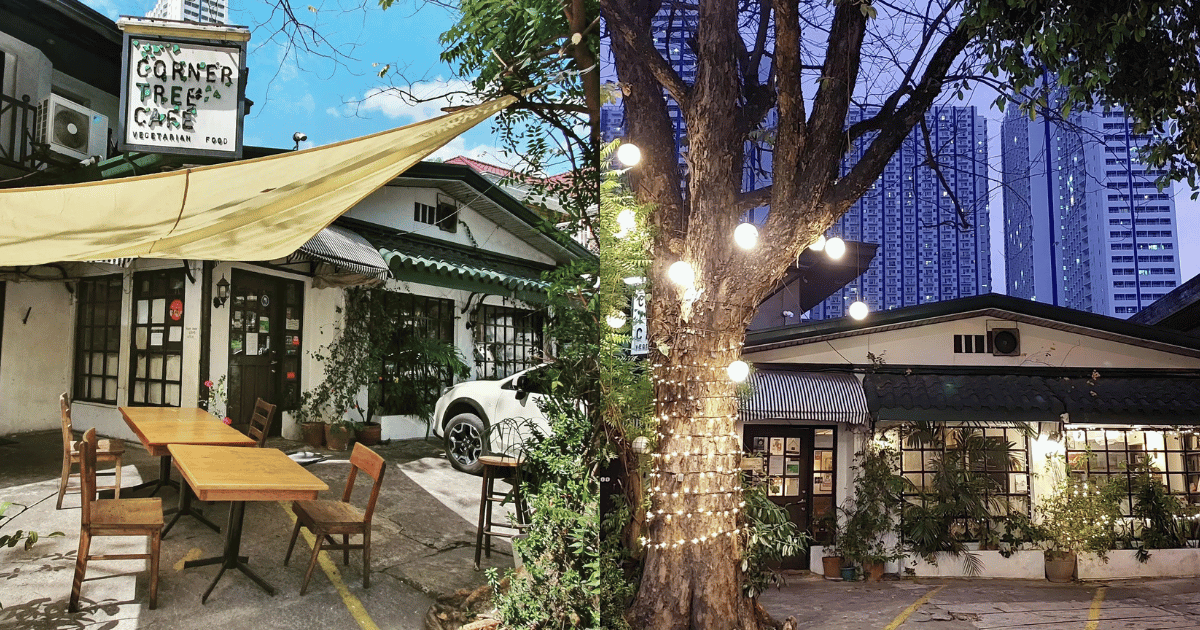 Corner Tree Cafe to close its doors in September after 15 years ...