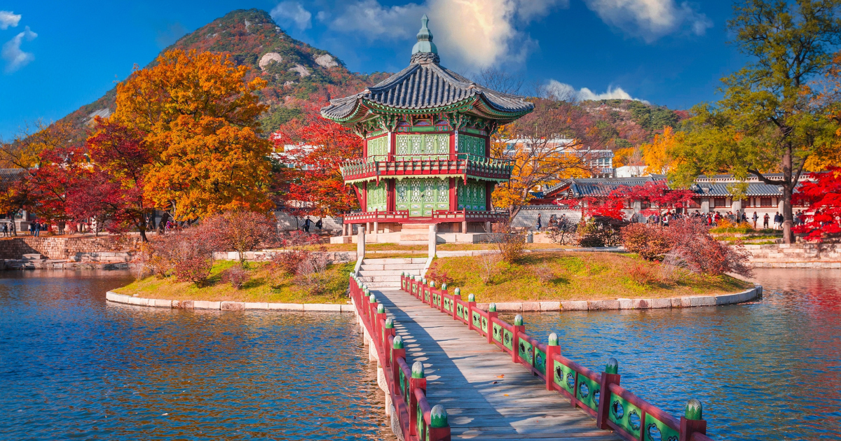 PSA: PNB credit card holders can enjoy simplified Korean visa application