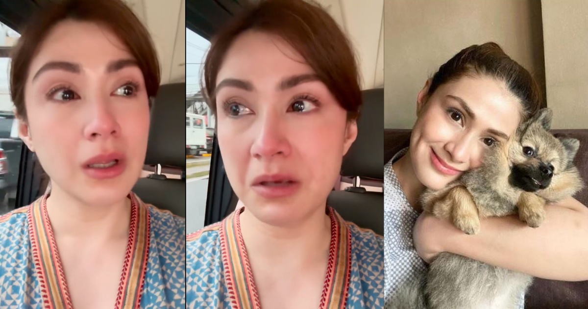 Carla Abellana in tears after picking up run-over aspin to bury it: 'It's the least I could do' • PhilSTAR Life