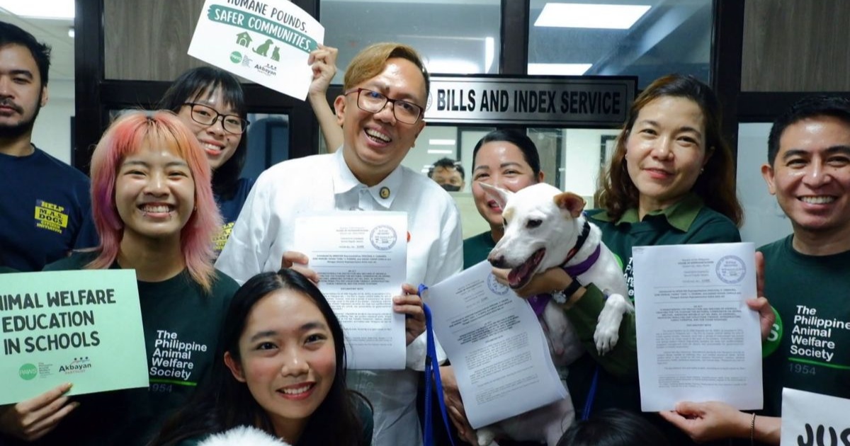 Bill aiming to strengthen animal cruelty penalties filed in House