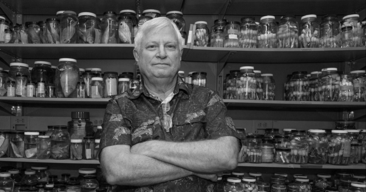 American marine biologist who supported PH in South China Sea issue shot ...