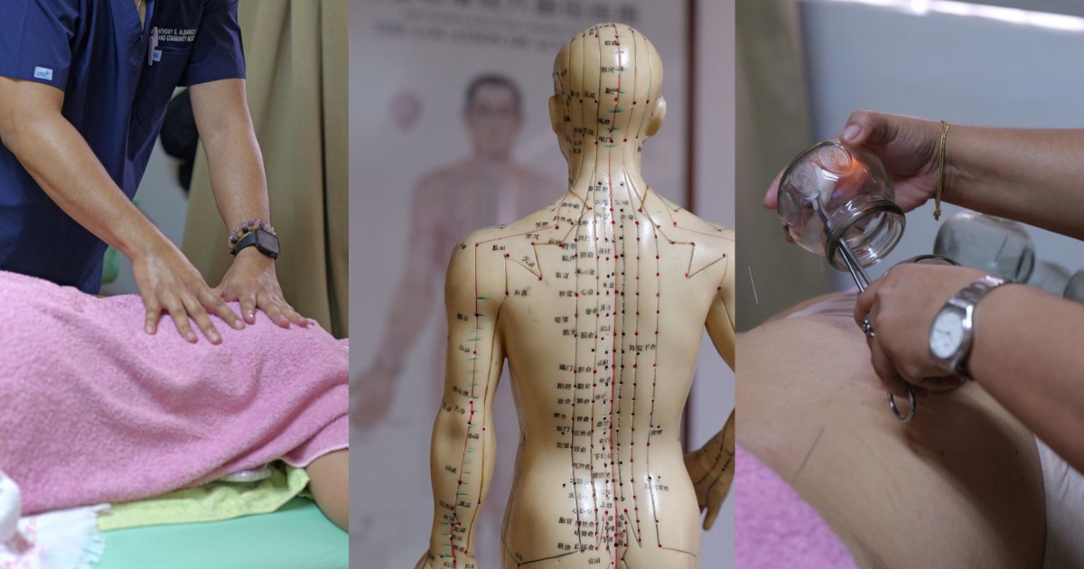 From herbs to acupuncture: Exploring traditional Chinese medicine for ...